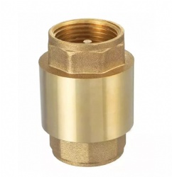 Check Valve