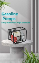 Gasoline Pump