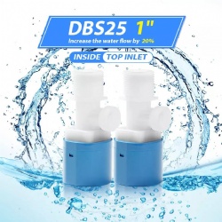 1 DBS25